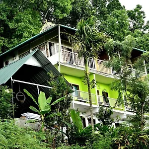 Lodge Nature Dale, Munnar
